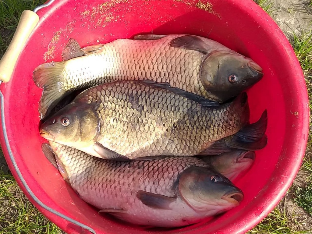 Матчевая ловля с поплавками слайдер (1).jpg